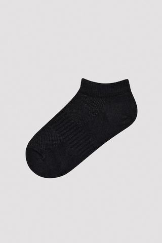Penti Erkek Çocuk Simple Colors 4lü Patik Çorap Ph3v99tx24ıy-mıx Çok Renkli