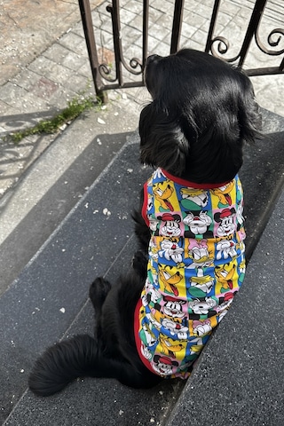 Küçük Orta Irk Yazlık Duffy Supreme Tişört
