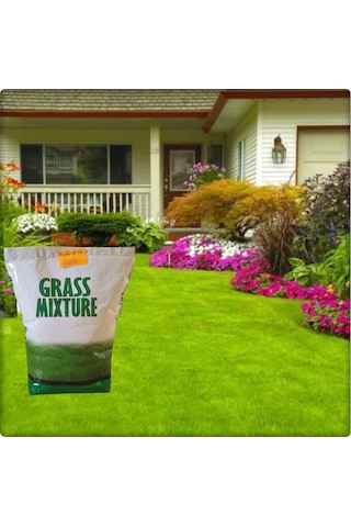 6 Farklı Çim Tohumu Karışımı Galaxy GRassmixture KG Seçiniz 10 KG 200 M²