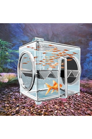 Suntek Balık Üremesi Izolasyon Kutusu Tankı Kuluçkahane