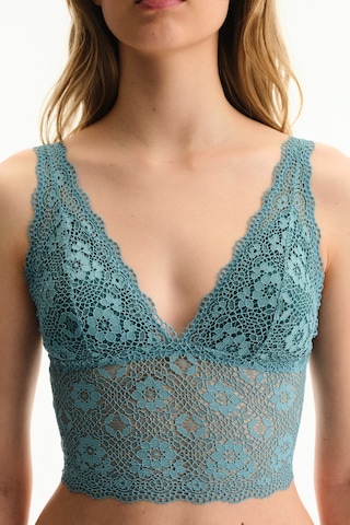 Penti Mavi Lace Bralet