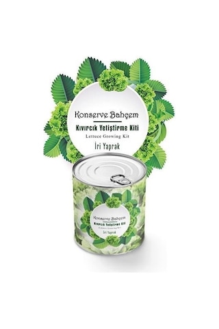 Buffer Konserve Bahçem Evde Konservede İri Yapraklı Kıvırcık Yetiştirme Kiti Mavi