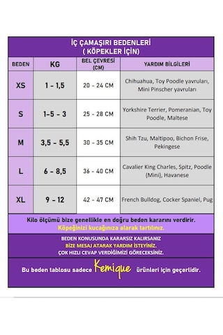 Red Frilly Dişi Köpek Regl Külotu Köpek Donu Köpek İç Çamaşırı Ayarlanabilir Bağcıklı Küçük Irklar İçin