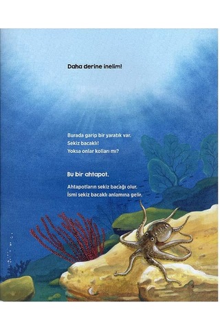 4 Yaş Okyanustaki Dostlarımız (Erdem Çocuk)