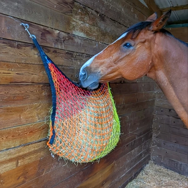 Elmpaly Renkli At Yem File - Dayanıklı Yavaş Yemleme Çuvalı 35inx24in