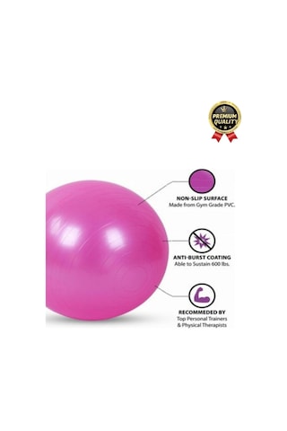 Premium Mini Gymball 20cm Jimnastik Denge Fitness Spor Şişirme Pompası Pembe Pilates Topu