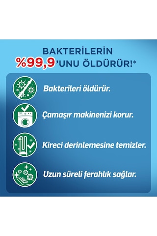 Lysol Çamaşır Makinesi Temizleyici Çam Ve Okaliptus Ferahlığı 2 X 500 Ml 500 ML