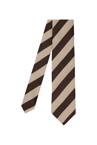 Pierre Cardin Erkek Kahverengi Kravat 50319181-400 Kahverengi