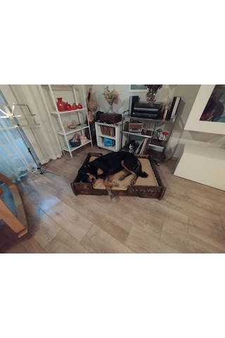 Pet Dizayn Bilboa Büyük Köpek Yatağı 2XL