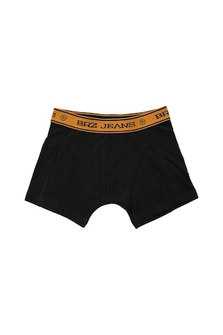 Brz Kids Erkek Çocuk 3'Lü Boxer Set
