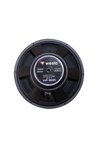 Westa Wp-1245 12'' 300 Watt Çıplak Hoparlör