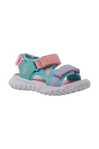 Kamık Harbor Lpe Turkuaz