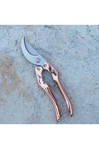 Singree Profesyonel Bahçe Budama Makası - Paslanmaz Çelik, Ergonomik Sap, Yaylı Tasarım İle Kolay Kullanım