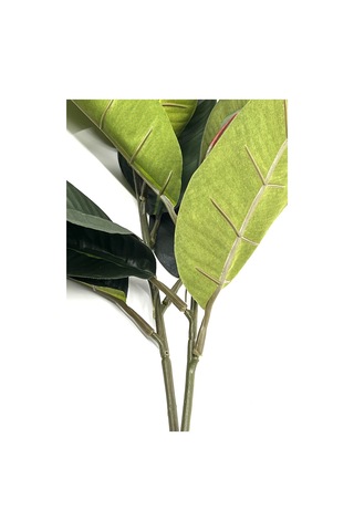 2 Dal Yapay Ficus Elasticos Kauçuk Ağacı Çiçeği 60 Cm Yeşil