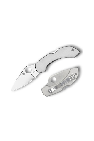 Spyderco Dragonfly Stainless Plainedge Kamp Çakı Gümüş