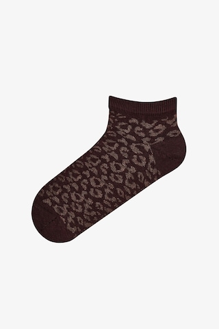 Penti Bordo Kahverengi Leopar Everyday 5 Çift Patik Çorap Bordo Kahverengı