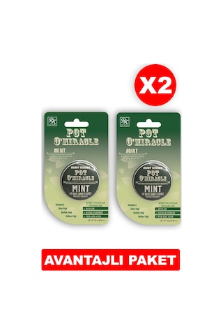Ruby Kisses Nane Yağı Dudak Nemlendiricisi 2 x 10 G