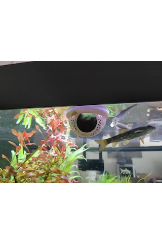 Akvaryum Için Yüzen Saklama Alanı Betta Balığı Için Gizlenme Ka