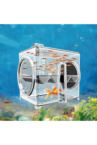 Suntek Balık Üremesi Izolasyon Kutusu Tankı Kuluçkahane