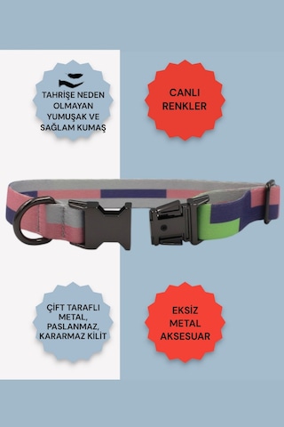 Caramelos İsimli Köpek Tasması, Köpek Künyesi, Köpek İsimlik 170 Mor - Pembe