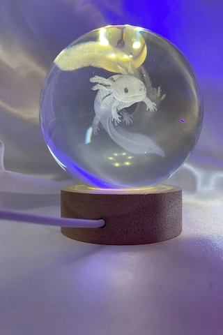 3d Led Işık Cam Küre Tek Renk Gece Lambası Axolotl Mucizevi Yenilenme 8 Cm Mega Boy