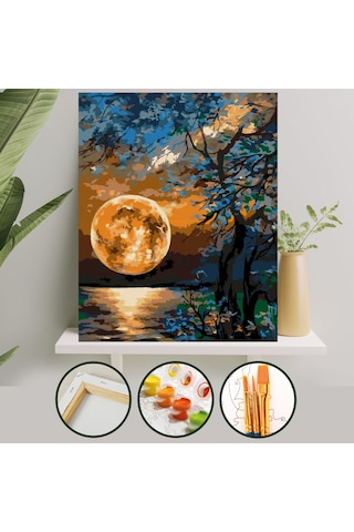 Sayılarla Boyama Tuval Seti 40x50 Cm - Yakamoz