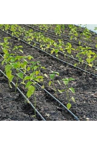 Delikli Damlama Sulama Hortumu Damlama Borusu Set 16Mm 200 Metre