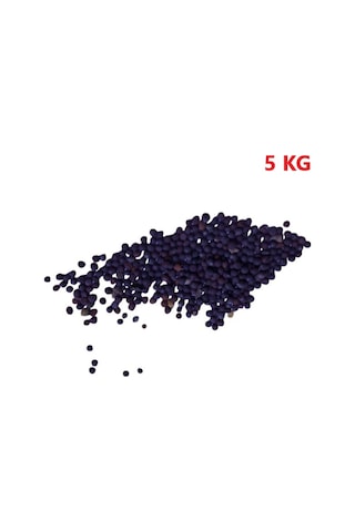 Yem Şalgamı Bitki Tohumu 5 Kg