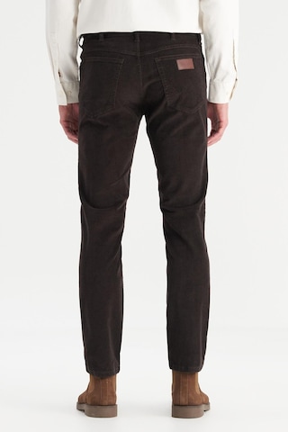 Erkek Texas Slim Kadife Pantolon Coffee Bean Coffee Bean