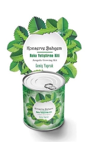 Buffer Konserve Bahçem Evde Konservede İri Yapraklı Roka Yetiştirme Kiti