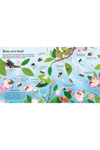 Look Inside: The World Of Bees - Usborne