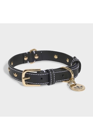Adidas Originals Siyah Pet Tasma Ky8799