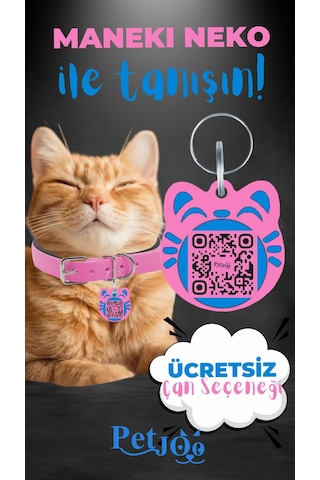 Petjoo 4.Maneki Neko Mavi-Pembe Qr'lı Kedi Künyesi