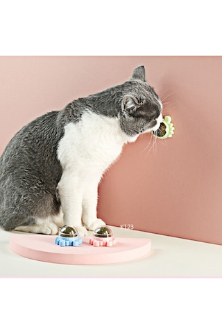 Tineke Catnipli Yenilebilir Kedi Nanesi Otu Yalama Oyun Topu Oyuncağı Yengeç