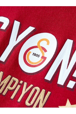 Galatasaray Lisanslı 2026 Şampiyonluk Dominasyon Kırmızı Tişört Aslan Ahşap Kutulu