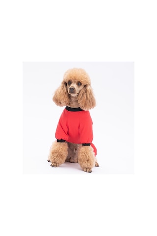 Depresso Kedi Köpek Pijaması - Kedi Köpek Tulumu - Kedi Köpek Kıyafeti