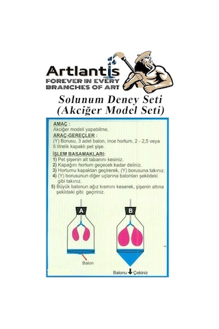 Solunum Deney Seti 7 Parça 1 Paket Akciğer Model Seti Y Boru Tıpa Balon Okul Sınıf Deney Seti