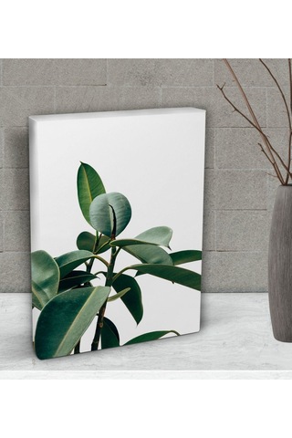 Bk Gift Green Plant Tasarımlı Dekoratif Mini Kanvas Tablo 15X20Cm (506660570)