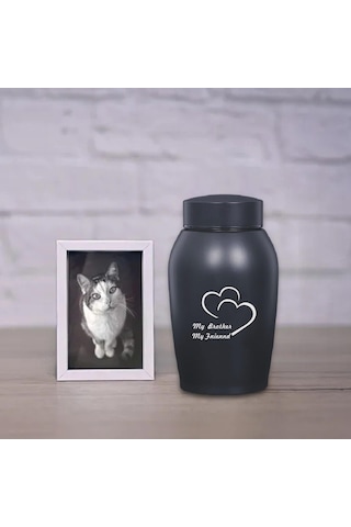 Homyl Pet Urn Saklama Kabı Tavşan Köpekler Kediler Stil-a Altın