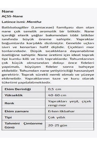 AGRodal Tarım Nane Çiçeği Tohumu N116507