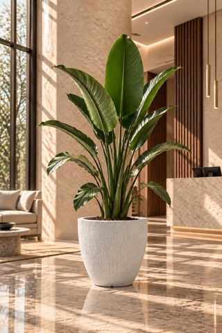 Bostann Dekoratif Saksı - Botonıa 030 - 50l - Beyaz 50 Lt