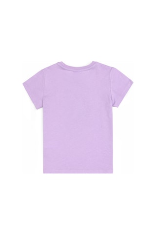 U.S. Polo Assn. Erkek Çocuk Lila Bisiklet Yaka Tişört 50307292-VR034