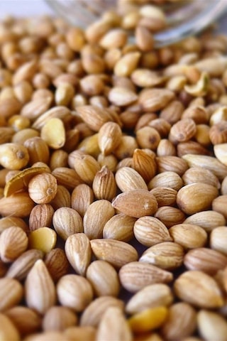 Organik Bitkim Mahlep (Toz) 200 G