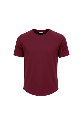 Ghassy Co. Erkek Reglan Oval Kesim %100 Pamuk Yumuşak Dokulu Bisiklet Yaka T-shirt Çok Renkli