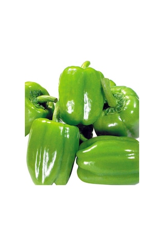 Dolma Biber Yetiştirme Seti