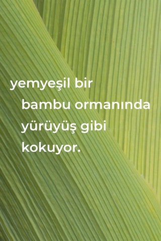 Method Çok Amaçlı Yüzey Temizleyici Bambu Kokulu 828ml Tekli