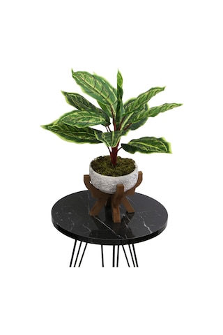 Yapay Çiçek Deposu Ahşap Ayaklı Beton Saksida Yapay Fittonia Bitkisi Bitkisi 45 Cm Yeşil-sarı