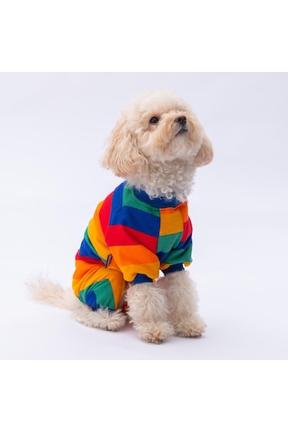 Ruby Gökkuşağı Penye Tulum Kedi Köpek Tulumu Kedi Köpek Kıyafeti Köpek Pijaması