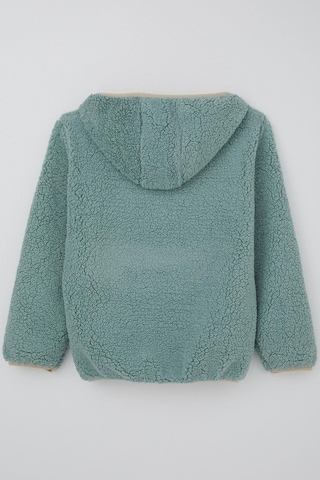 Reycan Erkek Çocuk Peluş Sweatshirt Kapüşonlu Kanguru Cepli 5-8 Yaş, Su Yeşili Su Yeşili