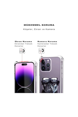 Samsung Galaxy M30s Uyumlu Köpek 3 Baskılı Şeffaf Köşe Korumalı Antişok Kılıf